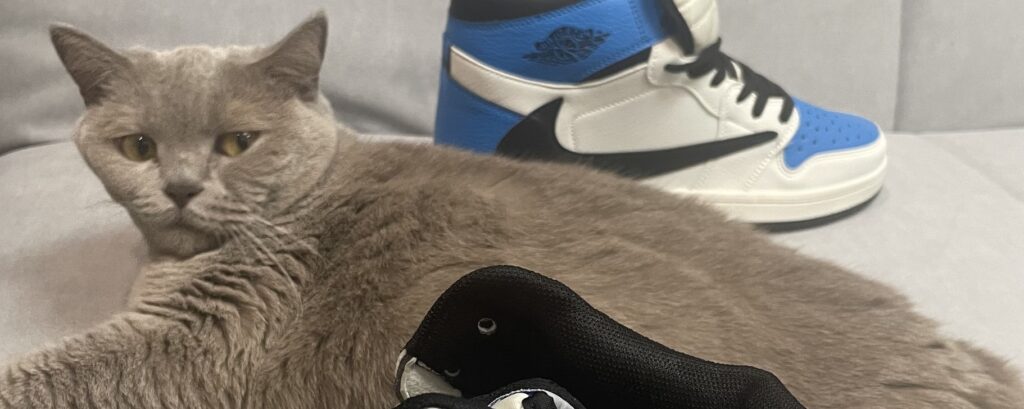 Фото 44 — Топ-10 обуви этого года