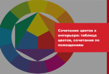 Photo of «Смелые сочетания цветов в моде»