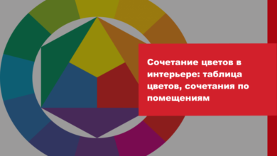 Photo of «Смелые сочетания цветов в моде»