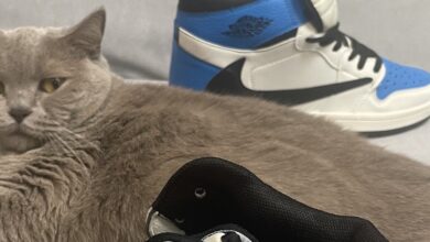 Photo of Топ-10 обуви этого года