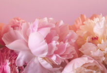 Photo of Вечерние наряды: модные решения