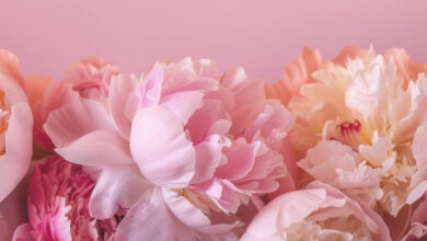 Photo of Вечерние наряды: модные решения