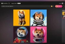 Photo of Как создать элегантный образ