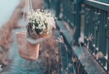 Photo of Элегантность в мелочах