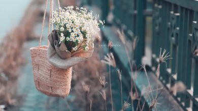 Photo of Элегантность в мелочах